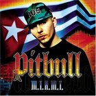 Pitbull pitbull rapper 25106337 500 500