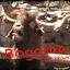 Bogglaa