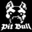 pit_Bull_