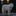 Dark_Wolf