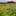 Vinyard77