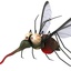Mosquito66