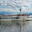 MaxlAmmersee